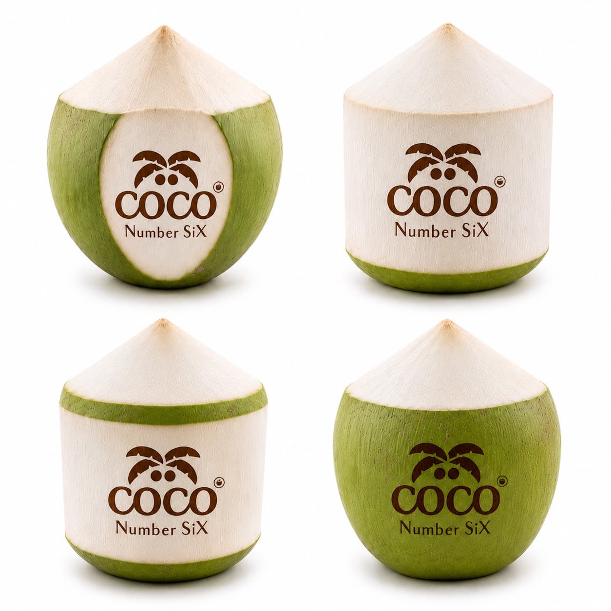Coco Number SiX whole coconut presentation formats